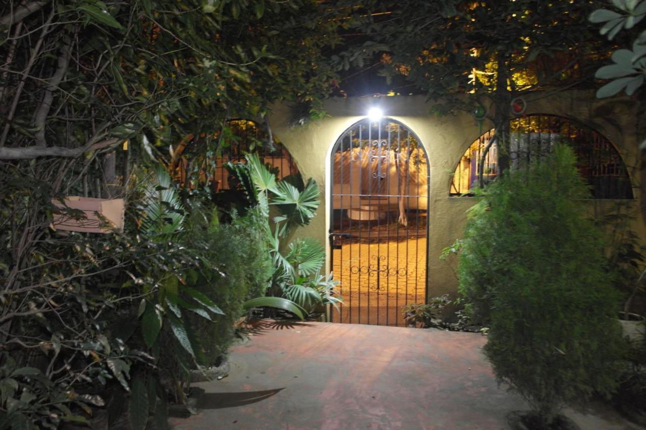 Hostal Nicaragua Guest House マナグア エクステリア 写真